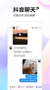 视频下载操作示意图