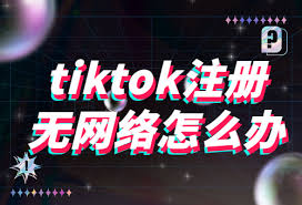 TikTok网络连接问题