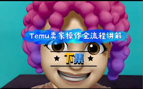 Temu.com商品界面