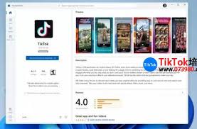 urlebird.com TikTok 网页版首页界面截图